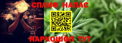 прущие грибы Пушкино