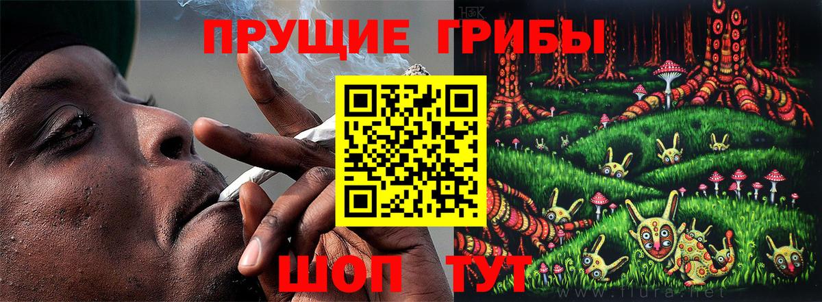 Псилоцибиновые грибы Magic Shrooms Сосновоборск