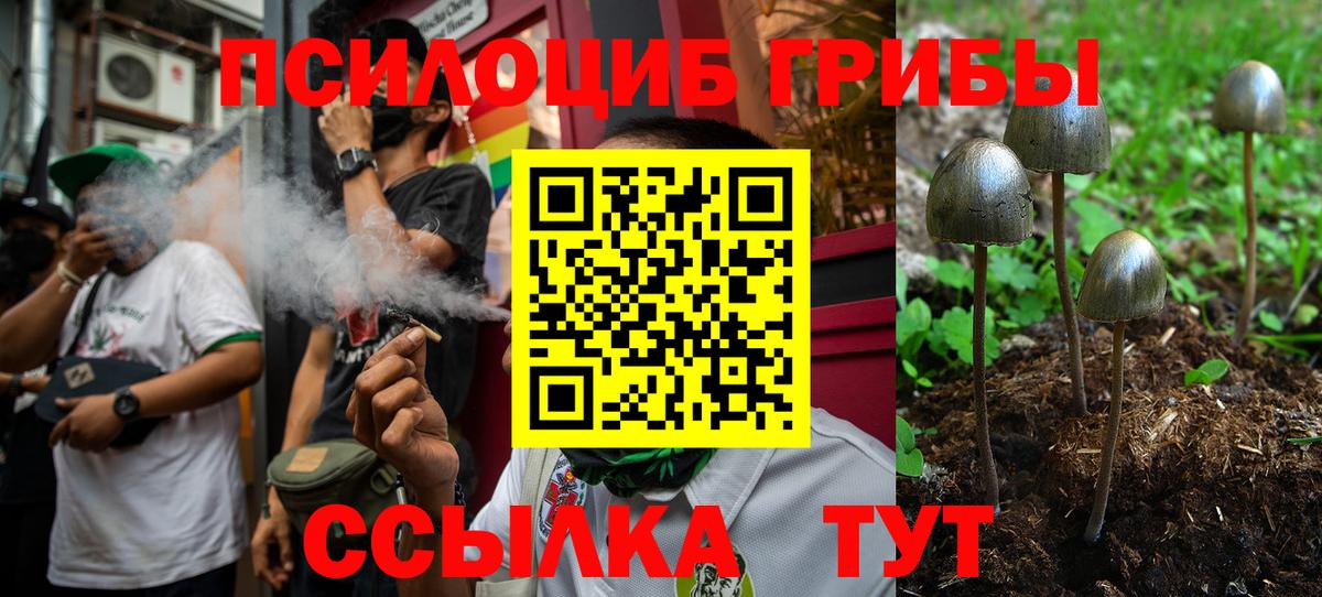 Сосновоборск  Галлюциногенные грибы Psilocybine cubensis  Вход с VPN 